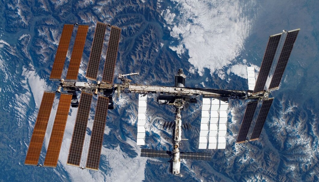 Etter 204 dager på Den internasjonale romstasjonen landetaustronautene Anne McCLain fra USA og canadiske David Saint-Jacques, samt den russiske kosmonauten Oleg Kononenko trygt på jorden tirsdag morgen. (Foto: Reuters, NASA, NTB scanpix) Etter 204 dager på Den internasjonale romstasjonen landetaustronautene Anne McCLain fra USA og canadiske David Saint-Jacques, samt den russiske kosmonauten Oleg Kononenko trygt på jorden tirsdag morgen. (Foto: Reuters, NASA, NTB scanpix)