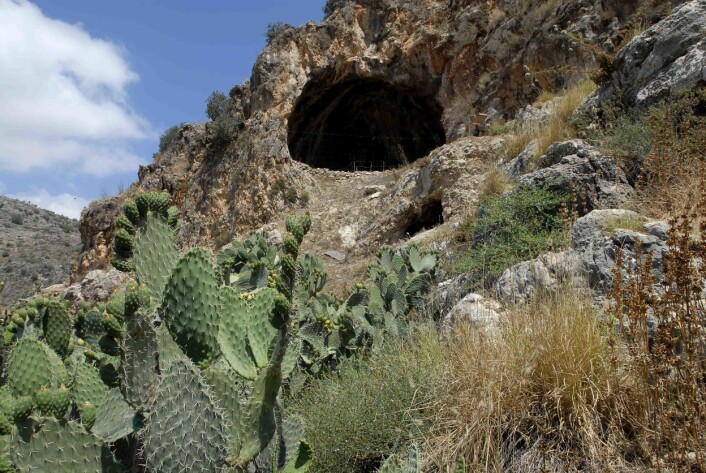 Hulen ligger nord i Israel. Flere steinaldermennesker er begravet der, men bare en av dem har en forseggjort grav. (Foto: Leore Grosman) Hulen ligger nord i Israel. Flere steinaldermennesker er begravet der, men bare en av dem har en forseggjort grav. (Foto: Leore Grosman)
