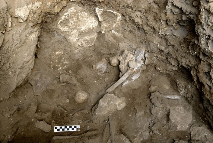 Skjelettet ble funnet halvt sittende. Kvinnen var sannsynligvis rundt 45 år, en eldre kvinne for 12 000 år siden. (Foto: Naftali Hilger) Skjelettet ble funnet halvt sittende. Kvinnen var sannsynligvis rundt 45 år, en eldre kvinne for 12 000 år siden. (Foto: Naftali Hilger)