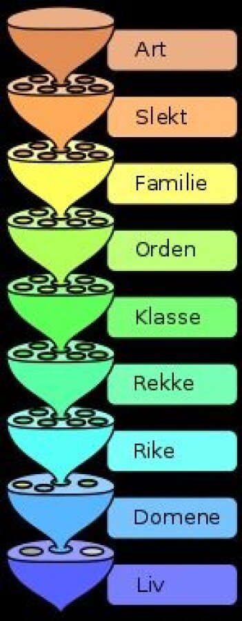 Figur 1: Klassifiseringssystem for livet på jorda (WikipediaCommons L. Pengo CC BY-SA 3.0) Figur 1: Klassifiseringssystem for livet på jorda (WikipediaCommons L. Pengo CC BY-SA 3.0)