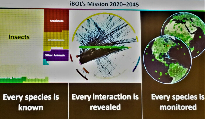 Figur 2: Oversikt over iBOLs mål for de neste 25 årene vist i foredraget «BIOSCAN – Revealing ecoregion dynamics and species interactions» av Paul Herbert holdt på Barcode og Life konferansen i Trondheim 18.06.2019. Trykkes med tillatelse fra Paul Herbert. Figur 2: Oversikt over iBOLs mål for de neste 25 årene vist i foredraget «BIOSCAN – Revealing ecoregion dynamics and species interactions» av Paul Herbert holdt på Barcode og Life konferansen i Trondheim 18.06.2019. Trykkes med tillatelse fra Paul Herbert.