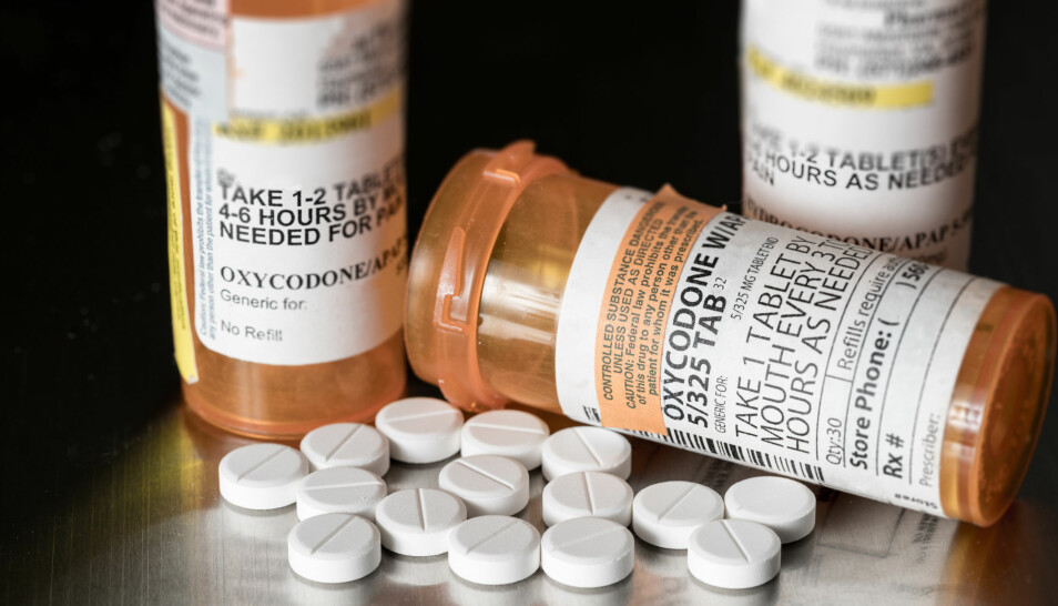 Oksykodon er en av medisinene som kan misbrukes. Opioider gir ofte både smertelindring og rus, og er vanedannende. (Foto: Shutterstock/NTB scanpix)
