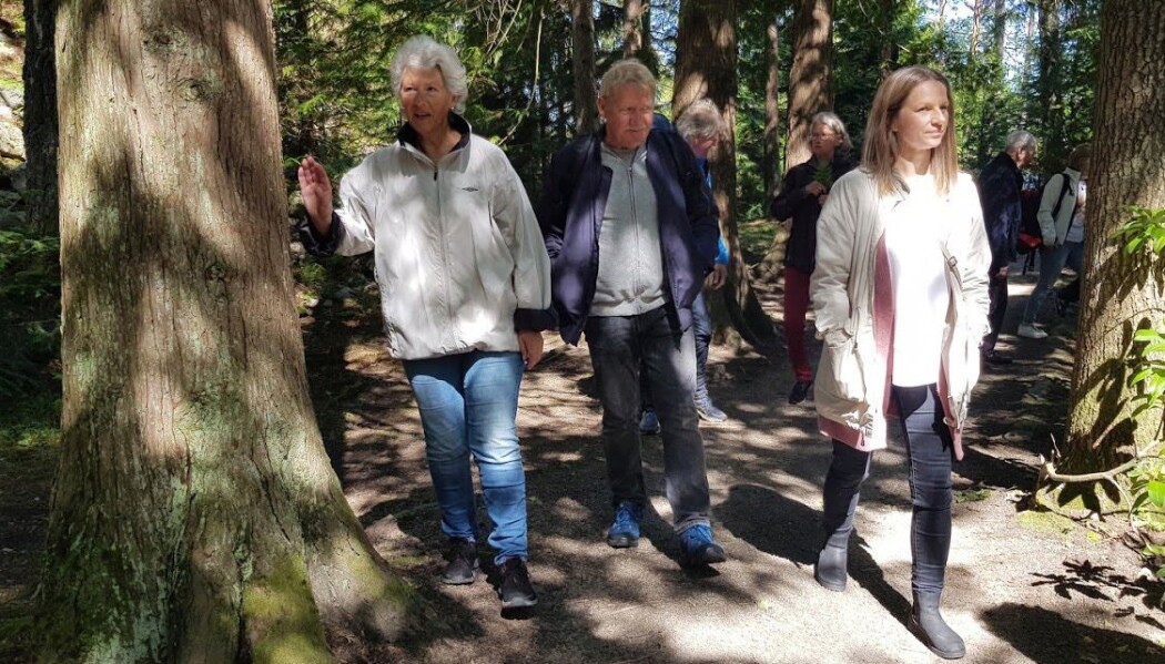 Lina Ellingsen-Dalskau (til høyre) er en av forskere som har observert aktiviteter på gårder som tilbyr demensomsorg. Her på tur med brukere på Stene gård. (Foto: Tove Rømo Grande / NMBU) Lina Ellingsen-Dalskau (til høyre) er en av forskere som har observert aktiviteter på gårder som tilbyr demensomsorg. Her på tur med brukere på Stene gård. (Foto: Tove Rømo Grande / NMBU)