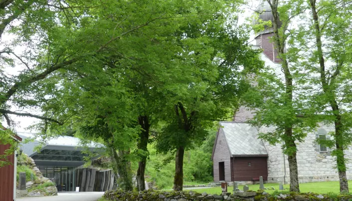 900 år norsk historie – prestegården (den rødmalte veggen til venstre), museumsbygget og kirke på Alstahaug. Foto: Ane K. Engvik