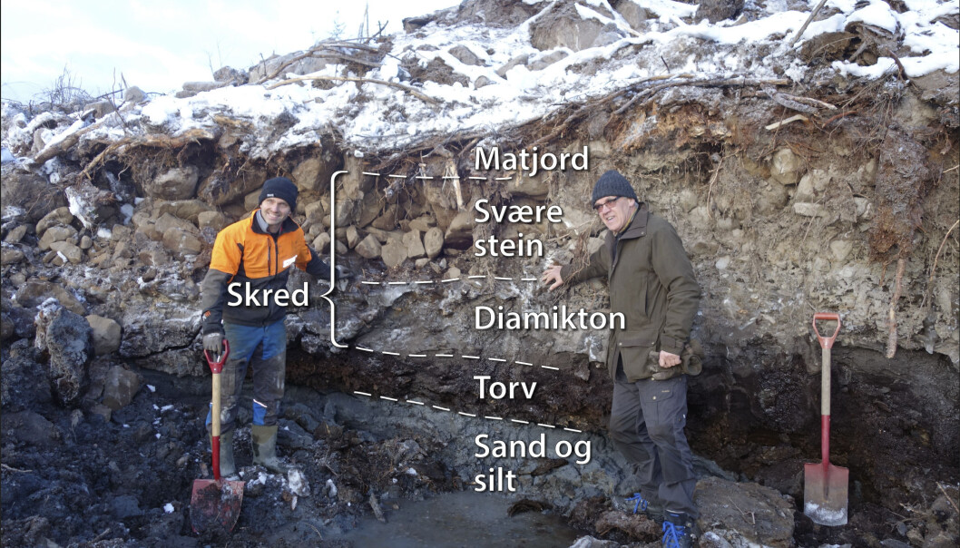 Her ser vi et skred (diamikton og svære steiner) i Ringsaker, som har gått over torv som er 6400 år gammel. (Foto: Johan Petter Nystuen) Her ser vi et skred (diamikton og svære steiner) i Ringsaker, som har gått over torv som er 6400 år gammel. (Foto: Johan Petter Nystuen)