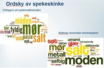 To ordskyer som beskriver hvilke ord forsøkspersonene under spekematfestivalen brukte for å beskrive spekeskingen (t.h.) og hvilke ord smaksdommerne brukte mest. (Foto: (Illustrasjon: Nofima)) To ordskyer som beskriver hvilke ord forsøkspersonene under spekematfestivalen brukte for å beskrive spekeskingen (t.h.) og hvilke ord smaksdommerne brukte mest. (Foto: (Illustrasjon: Nofima))