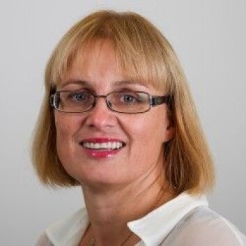 Gry Agnete Alsos mener norske og svenske bedriftskulturer har mye felles. (Foto: UiN) Gry Agnete Alsos mener norske og svenske bedriftskulturer har mye felles. (Foto: UiN)