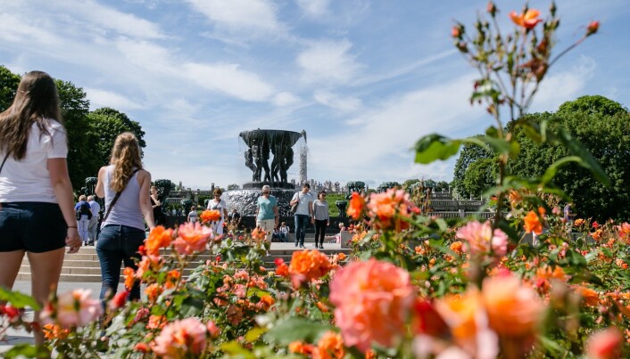 Byparkene som lå lengst ut fra Antwerpen sentrum, og nærmest rådyr-områder og naturområder, hadde flest flått, ifølge studien. Om funnene ville vært de samme i en norsk by, vet vi ikke. (Foto: Audun Braastad / NTB scanpix) Byparkene som lå lengst ut fra Antwerpen sentrum, og nærmest rådyr-områder og naturområder, hadde flest flått, ifølge studien. Om funnene ville vært de samme i en norsk by, vet vi ikke. (Foto: Audun Braastad / NTB scanpix)