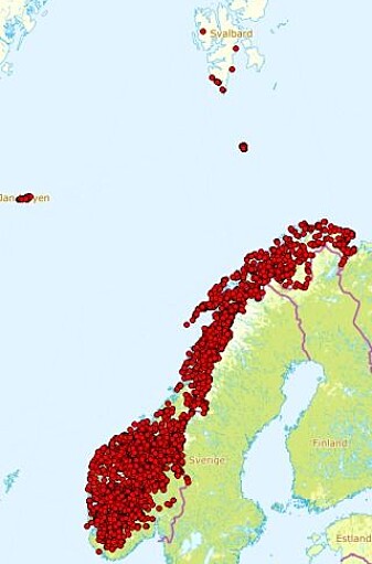 Observasjoner av musøre i Norge. (Illustrasjon: Artsdatabanken) Observasjoner av musøre i Norge. (Illustrasjon: Artsdatabanken)