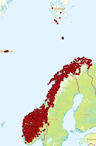 Observasjoner av musøre i Norge. (Illustrasjon: Artsdatabanken) Observasjoner av musøre i Norge. (Illustrasjon: Artsdatabanken)