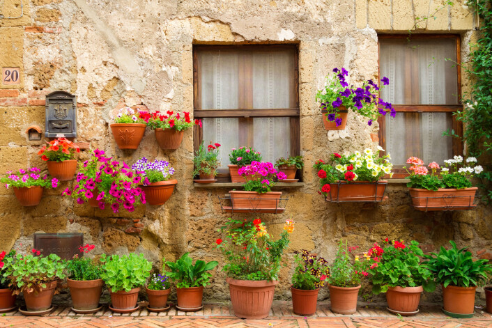 Mange sverger til krukker, enten du er glad i blomster, urter eller grønnsaker. Pass bare på å ha god jord. (Foto: Shaiith, Shutterstock, NTB scanpix) Mange sverger til krukker, enten du er glad i blomster, urter eller grønnsaker. Pass bare på å ha god jord. (Foto: Shaiith, Shutterstock, NTB scanpix)