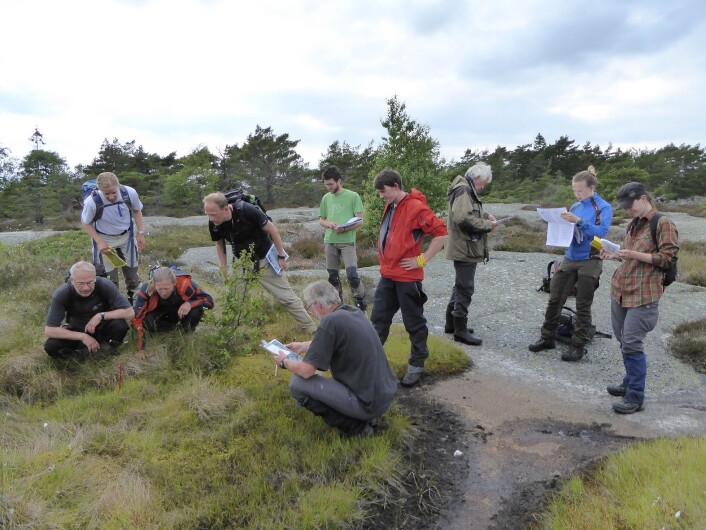 Dyp konsentrasjon når alle kartleggerne skal bestemme naturtypen i punktet som er markert med en rød pinne. Foto: HAU Dyp konsentrasjon når alle kartleggerne skal bestemme naturtypen i punktet som er markert med en rød pinne. Foto: HAU
