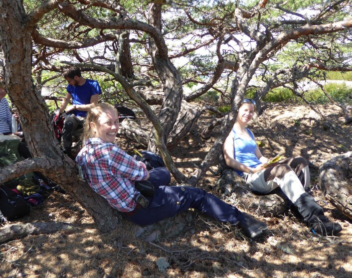 Uten mat og drikke duger kartleggerne ikke! Her har vi lunsjpause i et furu-lysthus på Hvaler. Foto: Inger Kristine Volden Uten mat og drikke duger kartleggerne ikke! Her har vi lunsjpause i et furu-lysthus på Hvaler. Foto: Inger Kristine Volden