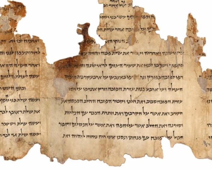 En del av Tempelrullen (Foto: The Israel Museum's 'Dead Sea Scrolls Digital Project) En del av Tempelrullen (Foto: The Israel Museum's 'Dead Sea Scrolls Digital Project)