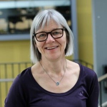 Ellen Blix ble i 2014 Norges første jordmorprofessor. (Foto: Ingrid S. Torp) Ellen Blix ble i 2014 Norges første jordmorprofessor. (Foto: Ingrid S. Torp)