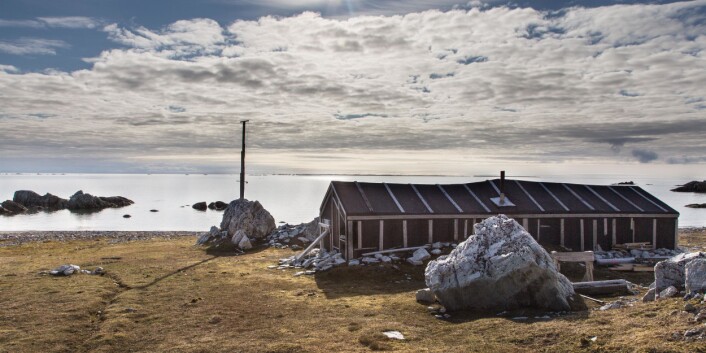 #Svalbardfølelse i Hyttevika over 80 år etter Wanny Woldstad kom dit første gang. Foto: Børge Damsgård, UNIS #Svalbardfølelse i Hyttevika over 80 år etter Wanny Woldstad kom dit første gang. Foto: Børge Damsgård, UNIS
