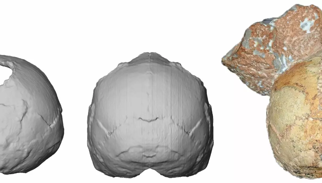 Forskere hevder de har funnet en 210 000 år gammel Homo sapiens-skalle i Hellas