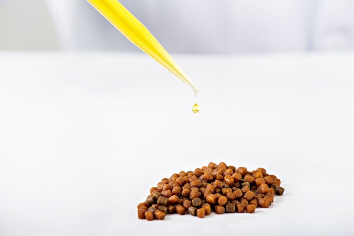 Siden marint omega-3, for eksempel fiskeolje, er mangelvare, brukes det ikke mer i laksefôret enn nødvendig. Forskerne mener valg av alternative oljekilder bør baseres på hvilke næringsstoffer laksen har behov for og hvor mye den trenger av enkelte fettsyrer. ( Foto: Jon-Are Berg-Jacobsen, ©Nofima) Siden marint omega-3, for eksempel fiskeolje, er mangelvare, brukes det ikke mer i laksefôret enn nødvendig. Forskerne mener valg av alternative oljekilder bør baseres på hvilke næringsstoffer laksen har behov for og hvor mye den trenger av enkelte fettsyrer. ( Foto: Jon-Are Berg-Jacobsen, ©Nofima)