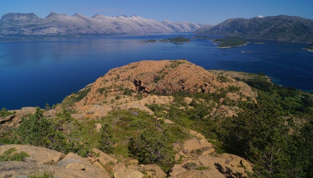 Storslått Nordlandspanorama – forskjell i farge på berget og tettheten av vegetasjonen gjenspeiler geologien. Det rødbrune berget i forgrunn er Rødøya som består av peridotitt, opprinnelig dannet som havbunnskorpe. De frodige lavtliggende øyene består av kalkrike bergarter, mens De syv søstre i bakgrunnen framstår som golde fjell i granitt. Foto: Tom Heldal Storslått Nordlandspanorama – forskjell i farge på berget og tettheten av vegetasjonen gjenspeiler geologien. Det rødbrune berget i forgrunn er Rødøya som består av peridotitt, opprinnelig dannet som havbunnskorpe. De frodige lavtliggende øyene består av kalkrike bergarter, mens De syv søstre i bakgrunnen framstår som golde fjell i granitt. Foto: Tom Heldal