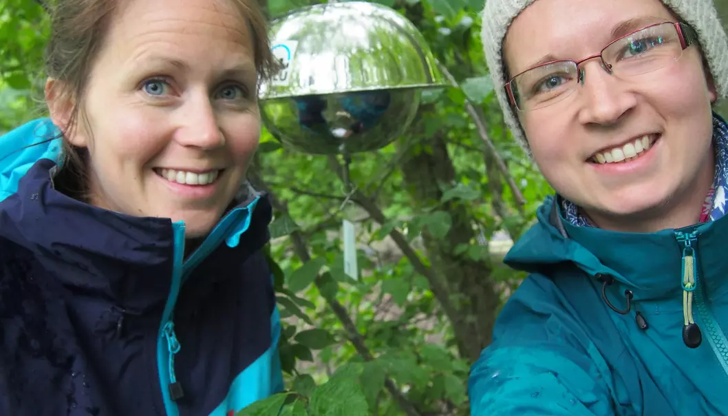 De neste tre ukene skal et femtitalls slike luftprøvetakere henges ut rundt omkring i hele Norge, for å finne ut mer om hva slags miljøgifter som befinner seg i lufta hvor og i hvilke mengder. Forskerne Ingjerd Sunde Krogseth (til høyre) og Helene Lunder Halvorsen startet i Kirkenes 20. juni, og avslutter på Østlandet 11. juli.  (Foto: NILU)