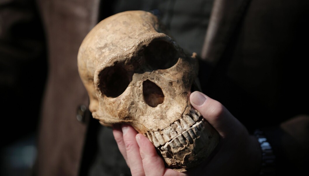 Særlig Homo naledi gir oss grunn til å tenke, skriver Erik Tunstad. (Foto: Gulshan khan, AFP, NTB scanpix) Særlig Homo naledi gir oss grunn til å tenke, skriver Erik Tunstad. (Foto: Gulshan khan, AFP, NTB scanpix)