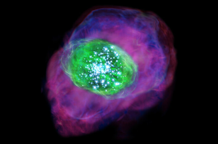 Illustrasjon av galaksen SXDF-NB1006-2, som ligger 12,91 milliarder lysår fra jorda. Mange av de unge kjempestjernene varmer opp gassen i og omkring galaksen, slik at den blir elektrisk ladet, ionisert. Grønn farge viser det ioniserte oksygenet som ALMA har oppdaget, mens det purpurfargede området er ionisert hydrogen som tidligere er observert med teleskopet Subaru. (Foto: (Illustrasjon: NAOJ))