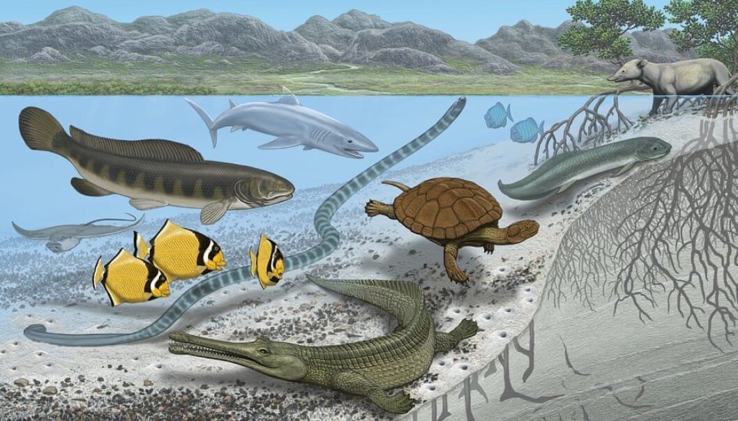 Mange ressurser og få rovdyr kan ha vært årsaken til det forskerne kaller «gigantisme» blant dyrene. (Foto: American Museum of Natural History) Mange ressurser og få rovdyr kan ha vært årsaken til det forskerne kaller «gigantisme» blant dyrene. (Foto: American Museum of Natural History)