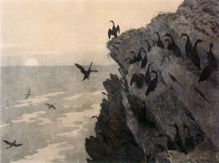 Skarver på Røst. (Foto: (Tegning: Theodor Kittelsen)) Skarver på Røst. (Foto: (Tegning: Theodor Kittelsen))