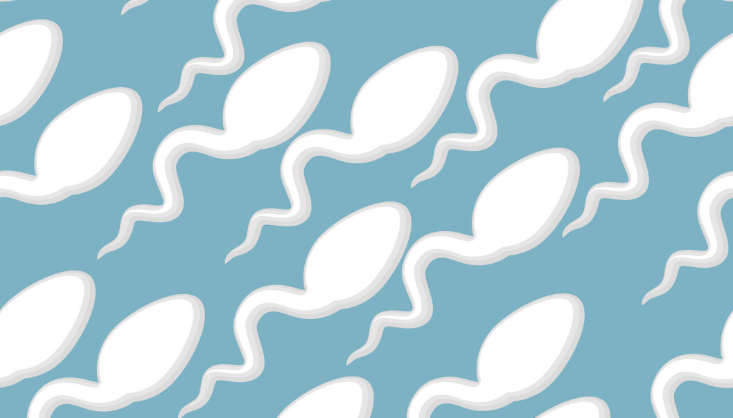 Sædkvalitet er temaet for denne episoden av Viten + Snakkis, en podcast fra OsloMet. (Illustrasjon: Top Vector Studio / Shutterstock / NTB scanpix) Sædkvalitet er temaet for denne episoden av Viten + Snakkis, en podcast fra OsloMet. (Illustrasjon: Top Vector Studio / Shutterstock / NTB scanpix)