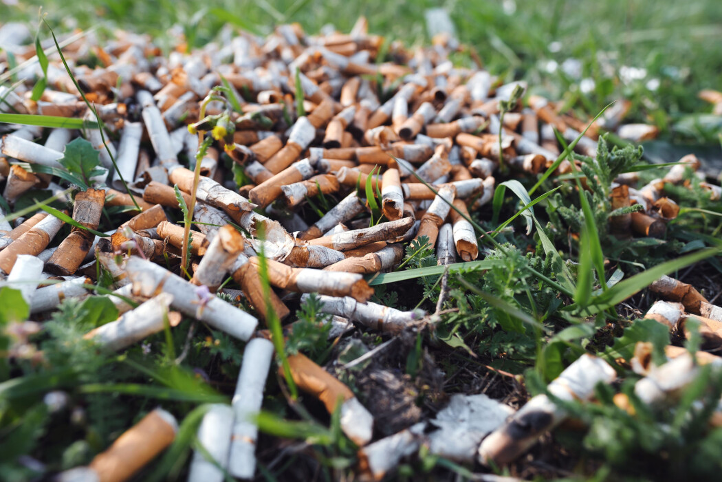 – Det å slippe sigarettsneiper på bakken virker som en sosial akseptabel form for forsøpling, sier forskeren bak en ny studie. (Foto: Larina Marina / Shutterstock / NTB scanpix) – Det å slippe sigarettsneiper på bakken virker som en sosial akseptabel form for forsøpling, sier forskeren bak en ny studie. (Foto: Larina Marina / Shutterstock / NTB scanpix)