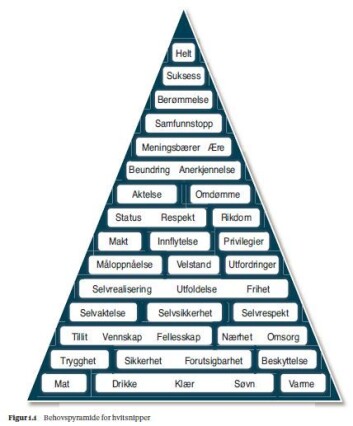 Figuren illustrerer både lovlydige hvitsnipper og hvitsnippforbryteres behovspyramide. Økonomisk kriminalitet blir begått av hvitsnipper for å kunne klatre høyere og sikre sin posisjon i pyramiden, mener professor Petter Gottschalk. (Foto: (Figur: Økonomisk kriminalitet/Cappelen Damm Akademisk)) Figuren illustrerer både lovlydige hvitsnipper og hvitsnippforbryteres behovspyramide. Økonomisk kriminalitet blir begått av hvitsnipper for å kunne klatre høyere og sikre sin posisjon i pyramiden, mener professor Petter Gottschalk. (Foto: (Figur: Økonomisk kriminalitet/Cappelen Damm Akademisk))