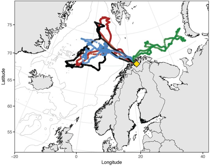 Eksempler på havvandringen til fire voksne laks fra Altaelva merket med datalagringsmerker, fra de forlot elva på våren etter gyting til de kom tilbake et år senere for å gyte. Eksempler på havvandringen til fire voksne laks fra Altaelva merket med datalagringsmerker, fra de forlot elva på våren etter gyting til de kom tilbake et år senere for å gyte.