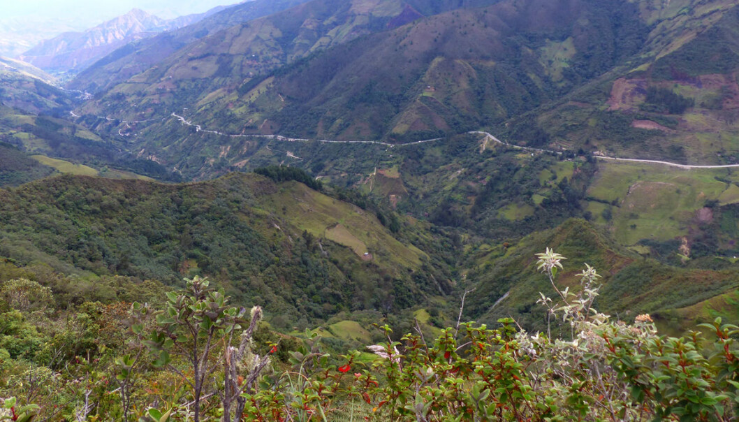 En blanding av jordbruk, skogbruk og brakkland gav mindre risiko og jevnere produksjon, viser tyske studier fra dette området rundt Loja i Ecuador. Også våre landskap kan ha bruk for en slik tankegang, mener norsk forsker. (Foto: Carola Paul, Technische Universität München) En blanding av jordbruk, skogbruk og brakkland gav mindre risiko og jevnere produksjon, viser tyske studier fra dette området rundt Loja i Ecuador. Også våre landskap kan ha bruk for en slik tankegang, mener norsk forsker. (Foto: Carola Paul, Technische Universität München)