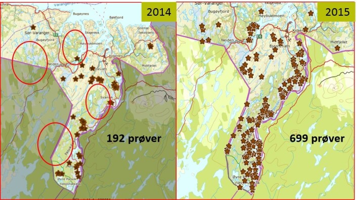 Innsamlingen i 2014 sammenlignet med innsamlingen i 2015. (Foto: Illustrert av Siv Grethe Aarnes) Innsamlingen i 2014 sammenlignet med innsamlingen i 2015. (Foto: Illustrert av Siv Grethe Aarnes)