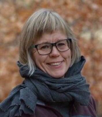 Inger Marie Okkenhaug, professor ved Høgskolen i Volda. (Foto: Michael D. Monahan) Inger Marie Okkenhaug, professor ved Høgskolen i Volda. (Foto: Michael D. Monahan)
