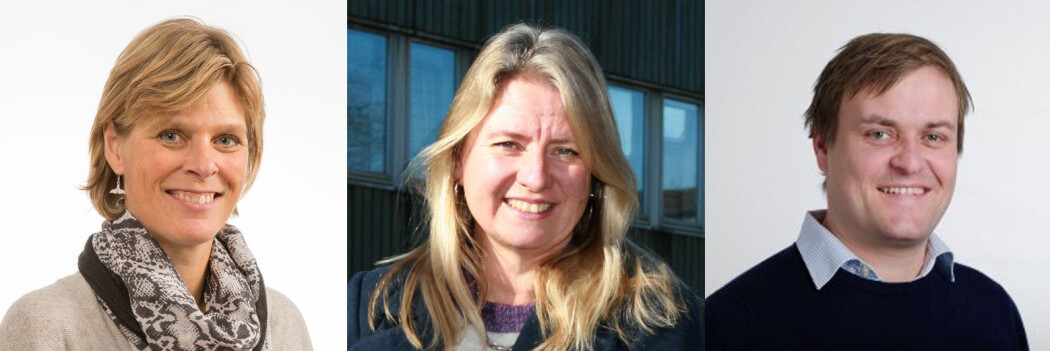 Vi har spurt tre forskere om bjellelyd. Fra venstre: Vibeke Lind fra NIBIO, Inger Lise Andersen fra NMBU og Kristian Ellingsen-Dalskau fra Veterinærinstituttet. (Foto: NIBIO, NMBU og Veterinærinstituttet) Vi har spurt tre forskere om bjellelyd. Fra venstre: Vibeke Lind fra NIBIO, Inger Lise Andersen fra NMBU og Kristian Ellingsen-Dalskau fra Veterinærinstituttet. (Foto: NIBIO, NMBU og Veterinærinstituttet)