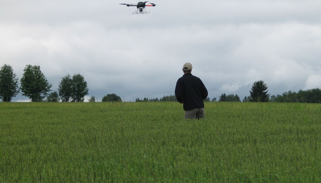 Droner med varmesøkende kamera kan påvise soner i åkeren som har høyere temperatur enn omgivelsene. Plantene blir nemlig varme ved sykdom og stress. (Foto: Audun Korsæth) Droner med varmesøkende kamera kan påvise soner i åkeren som har høyere temperatur enn omgivelsene. Plantene blir nemlig varme ved sykdom og stress. (Foto: Audun Korsæth)