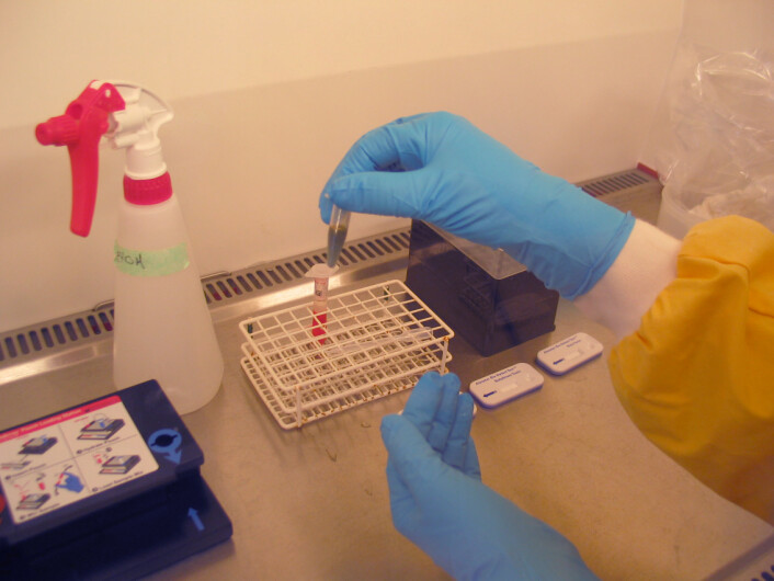 Her undersøkes en prøve, blant annet ved hjelp av en testchip. (Foto: FFI) Her undersøkes en prøve, blant annet ved hjelp av en testchip. (Foto: FFI)