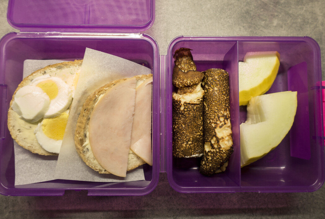 Matboks med brødskive med egg, skinke, pannekaker og melon på skole. (Foto: Gorm Kallestad / NTB scanpix) Matboks med brødskive med egg, skinke, pannekaker og melon på skole. (Foto: Gorm Kallestad / NTB scanpix)