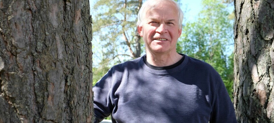 Seniorforsker Per Kristian Haugen har lagt sin elsk på faguttrykket kontrollfokus, som mange føler at de mister når de blir eldre.  (Foto: Petter Hveem)