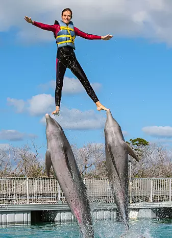 Delfiner i fangenskap kan trenes til å gjøre imponerende triks. (Foto: Sergey Uryadnikov / Shutterstock / NTB scanpix)