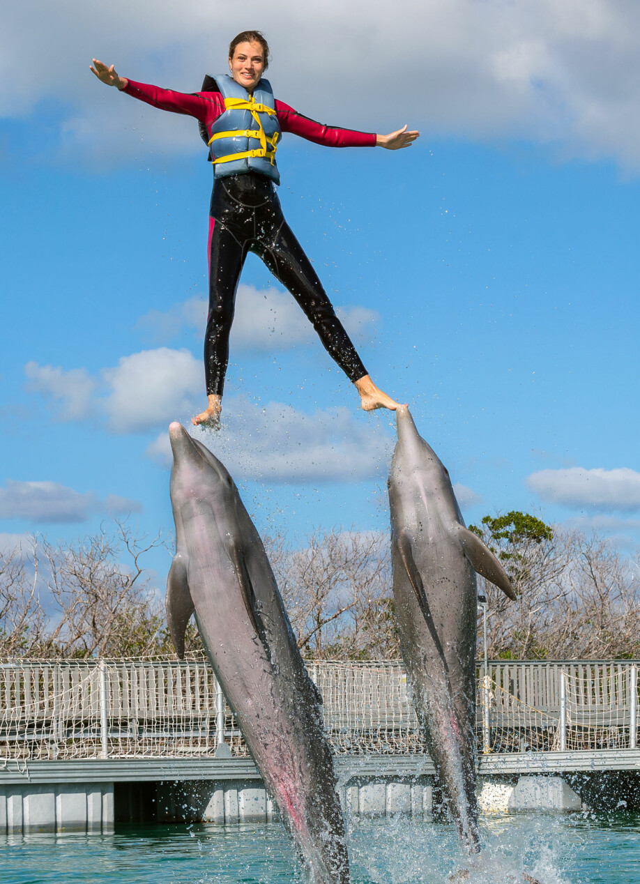 Delfiner i fangenskap kan trenes til å gjøre imponerende triks. (Foto: Sergey Uryadnikov / Shutterstock / NTB scanpix)
