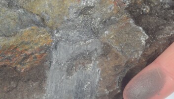 Grafitt kan kjennes igjen ved at den sverter fingeren grå. (Foto: Håvard Gautneb) Grafitt kan kjennes igjen ved at den sverter fingeren grå. (Foto: Håvard Gautneb)