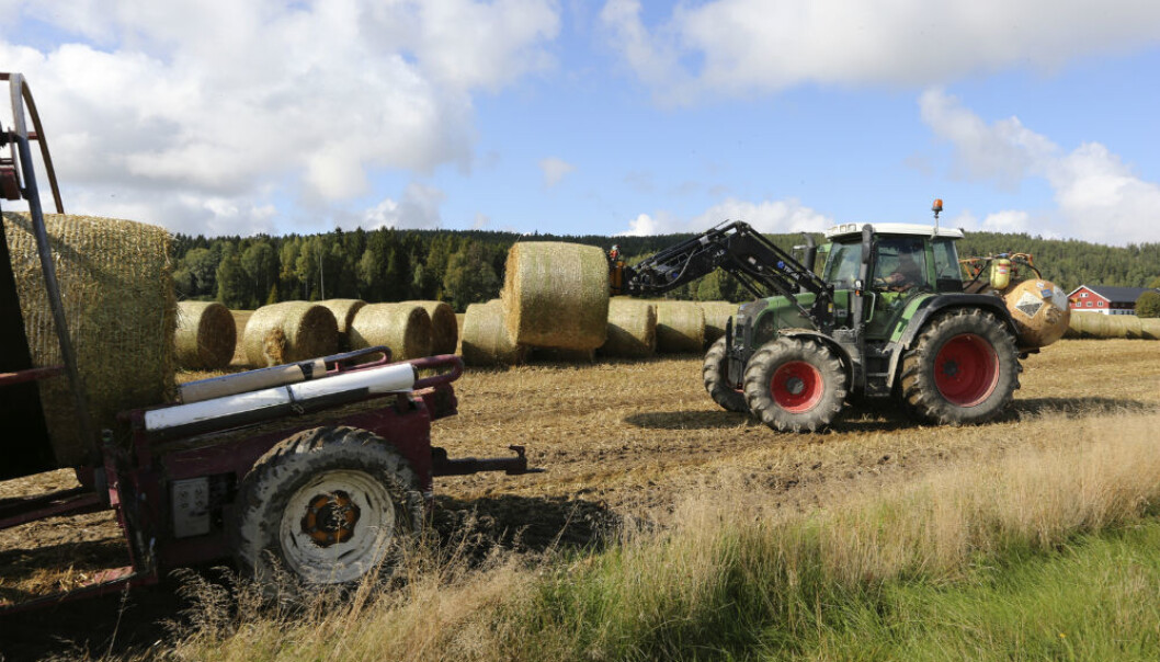 Store gårder som driver med melkeproduksjon, bruker opptil 60 prosent mer på diesel og transport per liter melk som blir produsert. (Illustrasjonsfoto: Vidar Ruud / NTB scanpix.) Store gårder som driver med melkeproduksjon, bruker opptil 60 prosent mer på diesel og transport per liter melk som blir produsert. (Illustrasjonsfoto: Vidar Ruud / NTB scanpix.)