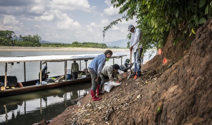 Den lille ape-jekselen ble funnet i den øvre delen av Madre de Dios-elven i Peru. (Foto: Wout Salnbien / Duke University) Den lille ape-jekselen ble funnet i den øvre delen av Madre de Dios-elven i Peru. (Foto: Wout Salnbien / Duke University)