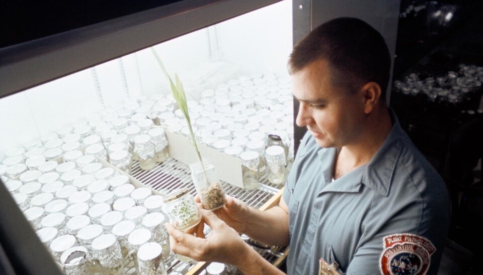 Månen er dekket av en blanding av støv, sand og ulike mineraler, og kalles for regolitt. NASA har tidligere testet hvordan planter trives med å vokse i månestøv. (Foto: NASA)