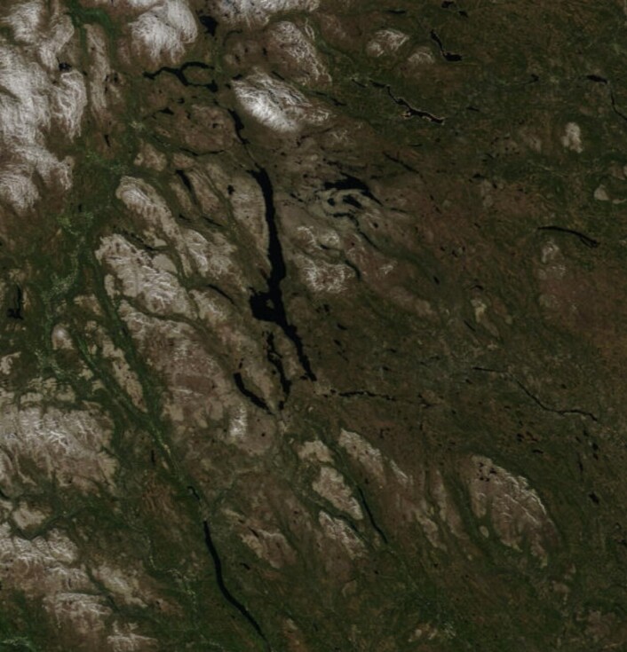 Fine farger i traktene rundt Femunden, her sett fra NASAs satellitt Terra 5 juni. (Bilde: NASA Terra MODIS) Fine farger i traktene rundt Femunden, her sett fra NASAs satellitt Terra 5 juni. (Bilde: NASA Terra MODIS)