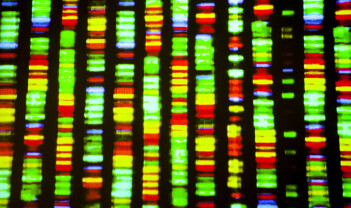 Etikk 24/7: Syntetisk DNA, godteforskning og Photoshop