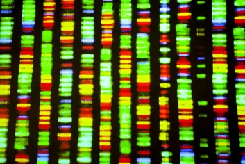 Muligheten for å kjemisk fremstille et komplett sett med menneskelige kromosomer kan teoretisk gjøre det mulig å skape babyer uten biologiske foreldre, melder New York Times. (Foto: Shutterstock)