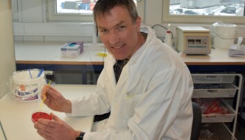 – For å kunne forebygge trenger vi kunnskap om hvordan antibiotikaresistente bakterier oppstår, hvor de forekommer, hvordan de utvikler og sprer seg, sier Even Heir (foto: Siri Elise Dypdal). – For å kunne forebygge trenger vi kunnskap om hvordan antibiotikaresistente bakterier oppstår, hvor de forekommer, hvordan de utvikler og sprer seg, sier Even Heir (foto: Siri Elise Dypdal).